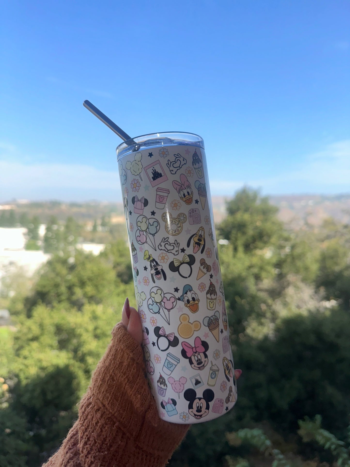 Disney Tumbler